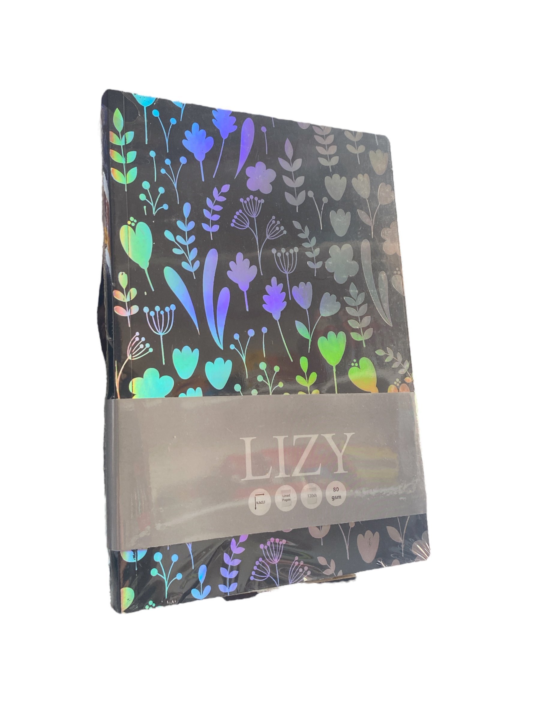 Lizy 17x24 Amerikan Bristol Esnek Janjanlı Defter 120yp 80gr