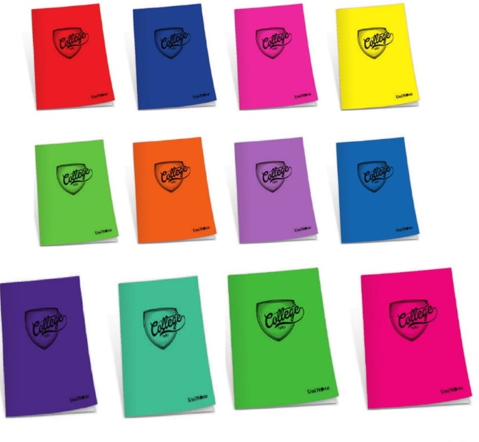 Çınar College Plastik Kapak A5 60Yp Kareli Defter