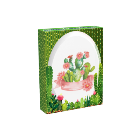 Silka Elips Lama Kaktüs Serisi 12 Desen Silgi