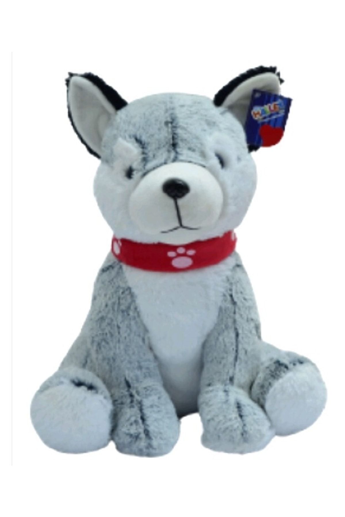 Halley Pl62573 50 Cm Husky *12